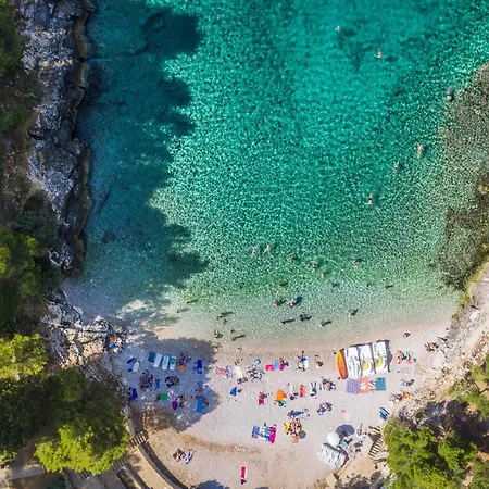 Petra Lux * פולה